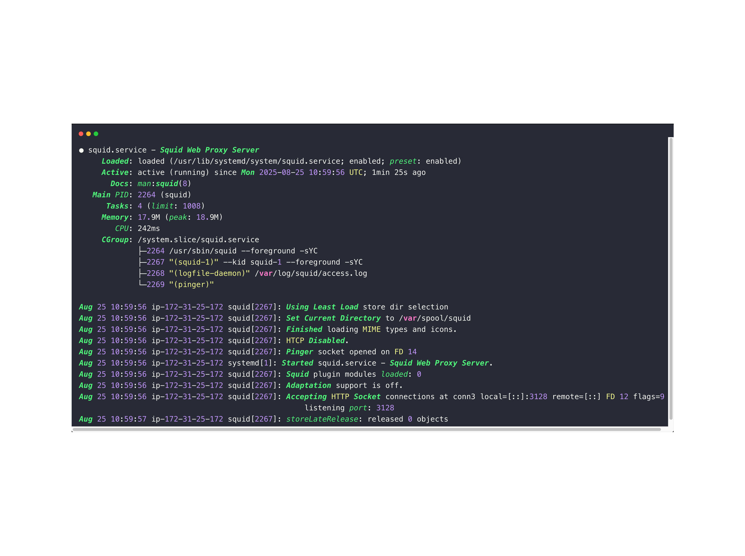 Proxy Support